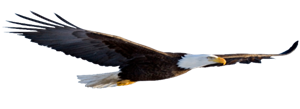 SOAR 